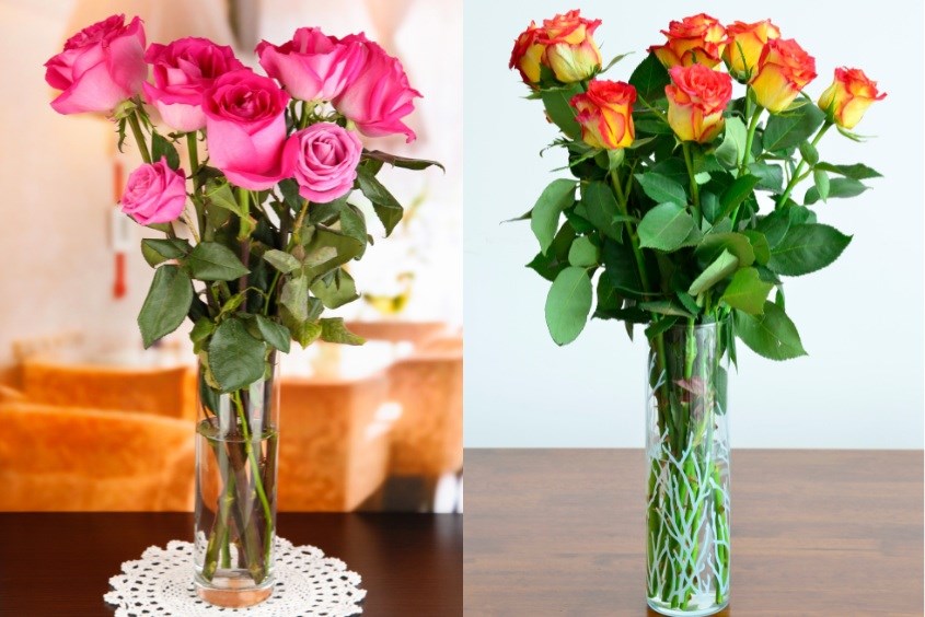 Hoa hồng đỏ mang ý nghĩa tượng trưng cho lòng thành kính, sự trang trọng