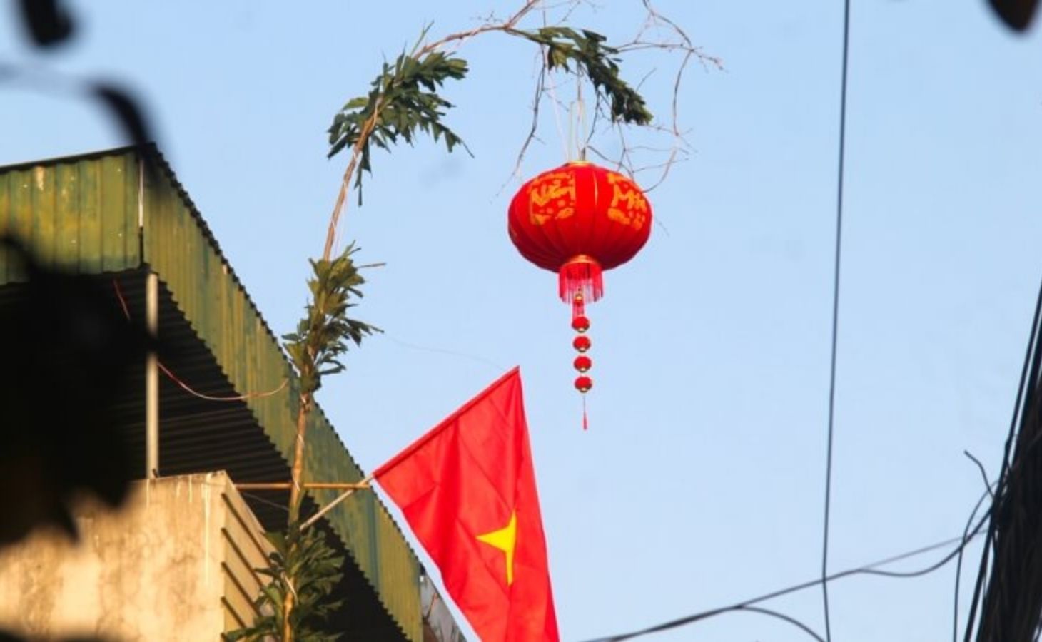 Cây nêu ngày Tết mang nhiều ý nghĩa truyền thống