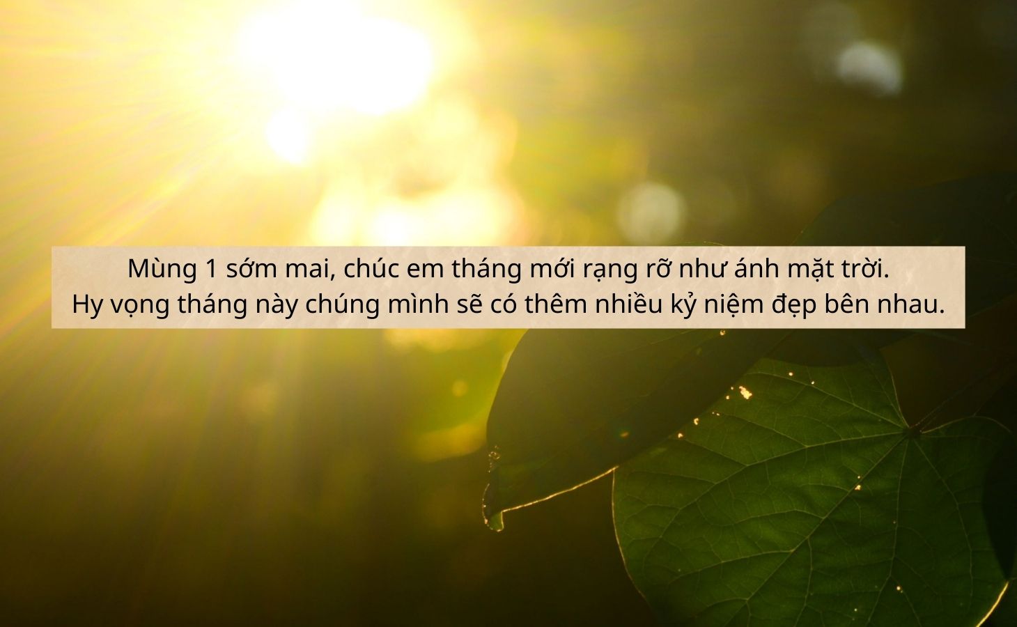 Lời chúc đầu tháng dành cho người yêu, vợ chồng