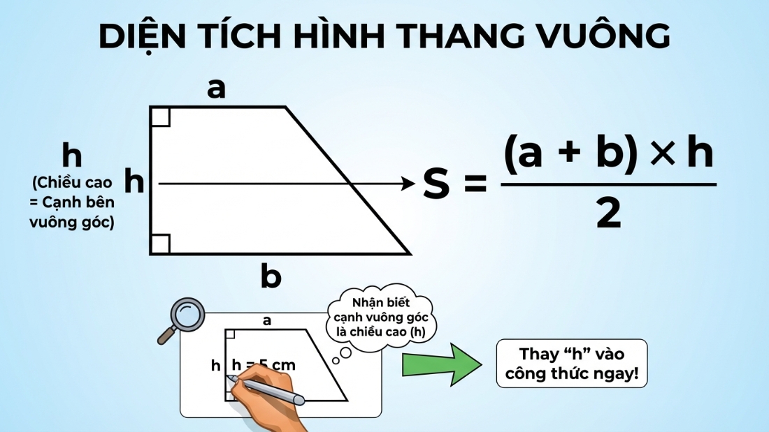 Diện t&iacute;ch h&igrave;nh thang vu&ocirc;ng
