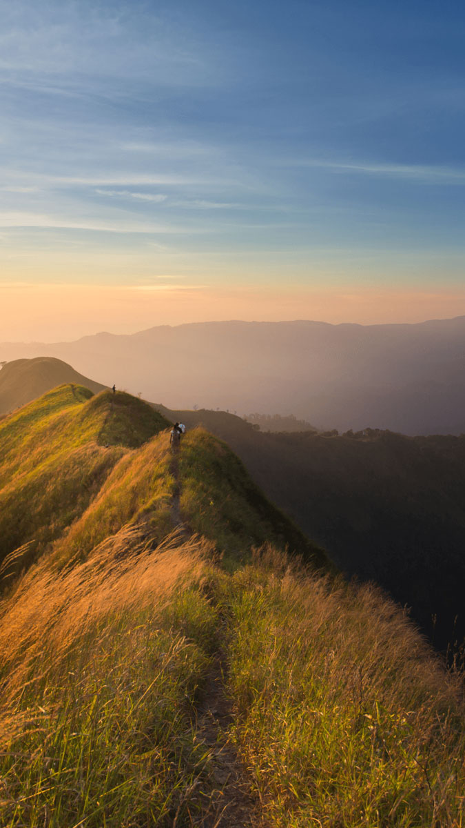 Hình nền mệnh Thổ mang sắc nâu, vàng đất giúp tạo cảm giác vững chãi, ổn định và thu hút tài lộc bền lâu