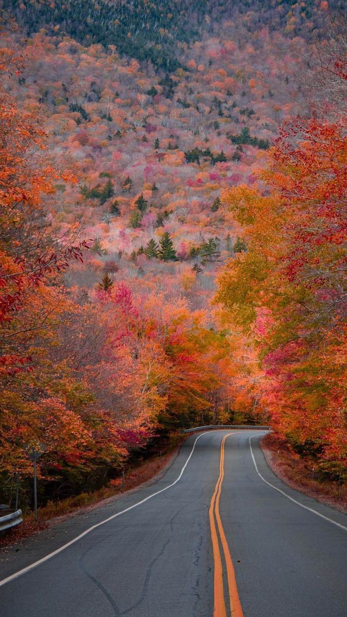 Hình nền mệnh Thổ mang sắc nâu, vàng đất giúp tạo cảm giác vững chãi, ổn định và thu hút tài lộc bền lâu