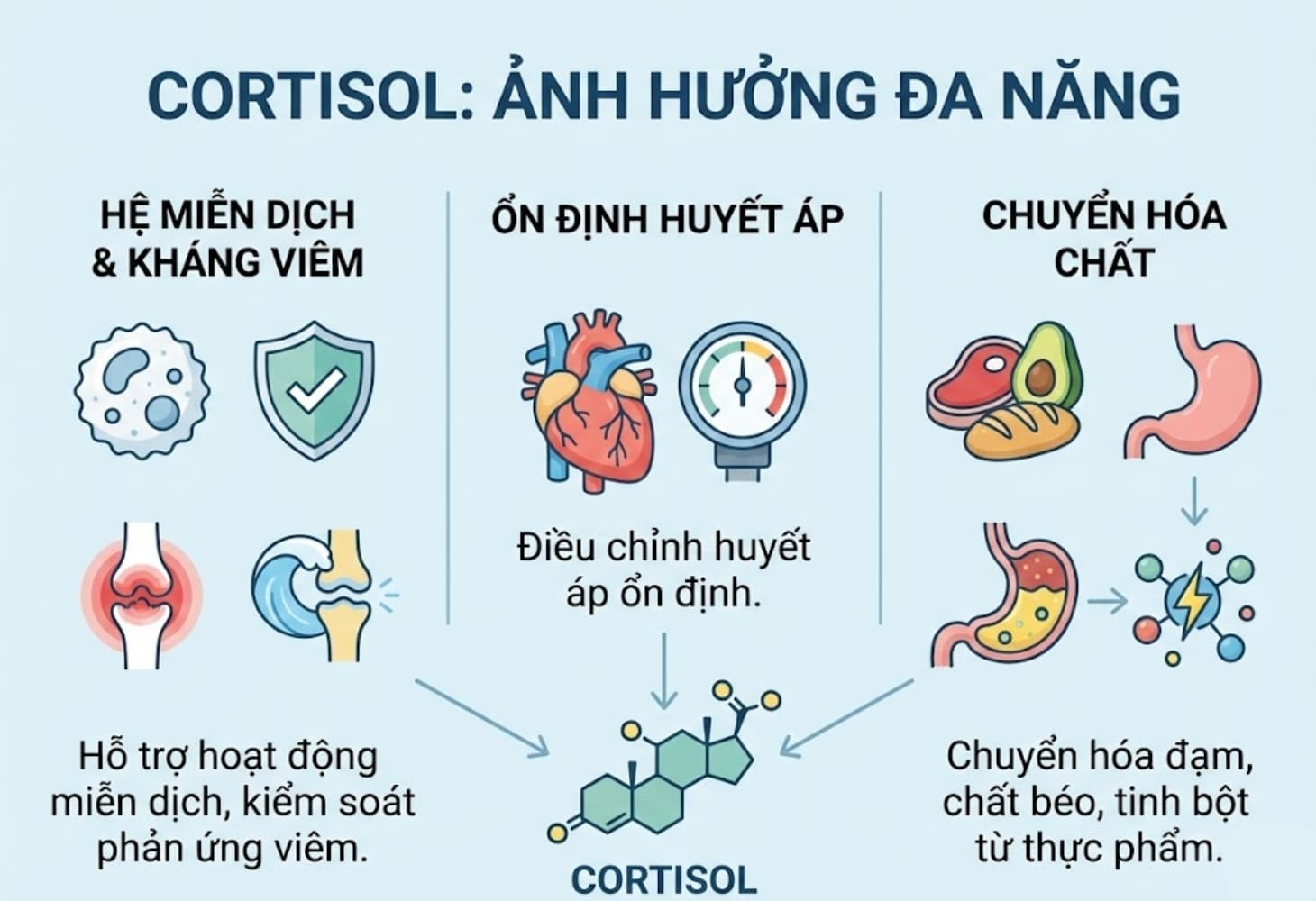 Cortisol ảnh hưởng đến huyết áp và quá trình chuyển hóa chất