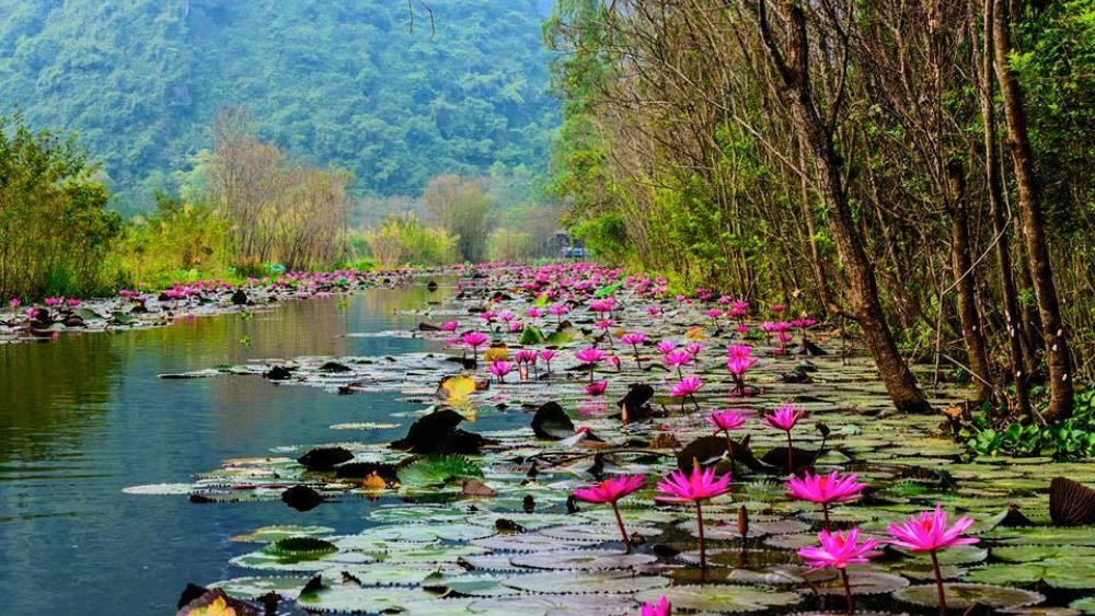 Ngồi đ&ograve; ngắm cảnh suối Yến