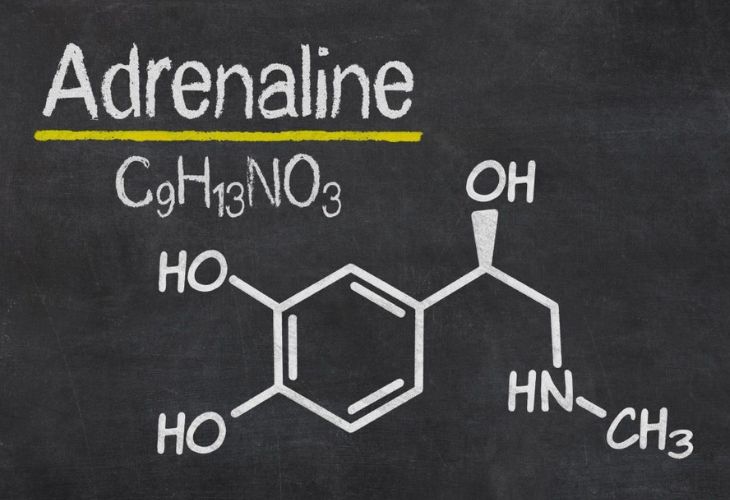 Adrenaline là một chất dẫn truyền thần kinh kích thích cac phản ứng sinh tồn của cơ thể Adrenaline là một chất dẫn truyền thần kinh kích thích cac phản ứng sinh tồn của cơ thể