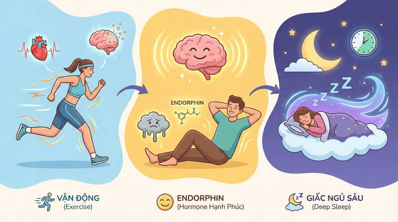 Giảm stress, kích thích hormone hạnh phúc, ngủ ngon và sâu giấc hơn mỗi ngày