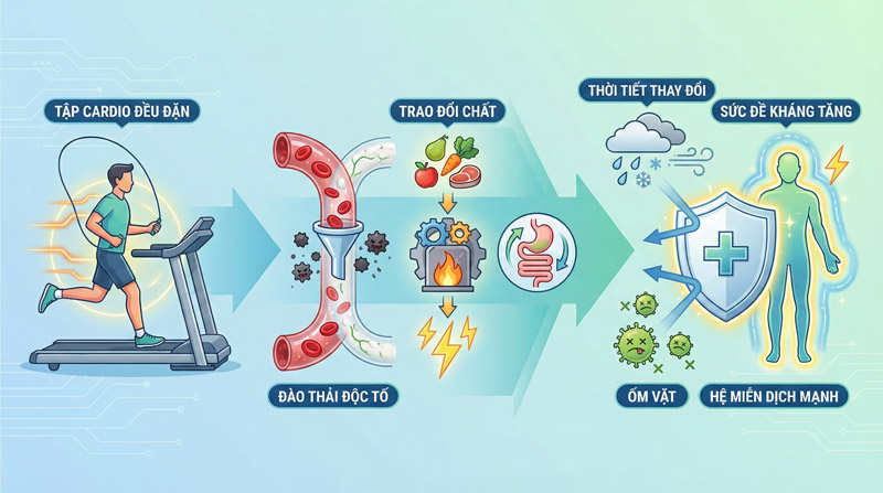 Thúc đẩy trao đổi chất, tăng đề kháng, hạn chế ốm vặt khi thời tiết thay đổi