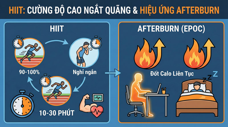 HIIT là phương pháp tập cường độ cao ngắt quãng giúp đốt mỡ nhanh và duy trì hiệu ứng Afterburn lâu dài