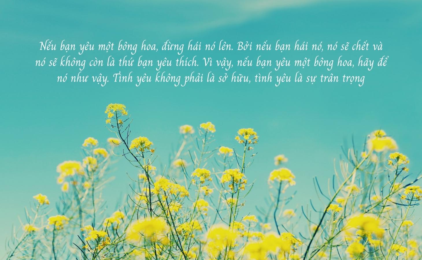 Câu nói hay về tình yêu ý nghĩa, sâu sắc