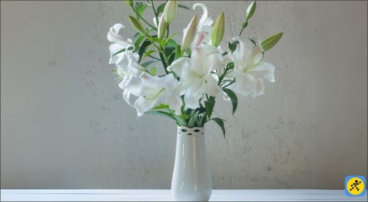 Vì thuộc mệnh Mộc, bạn nên ưu tiên các đồ vật có hình trụ tròn, hình chữ nhật hoặc lượn sóng Vì thuộc mệnh Mộc, bạn nên ưu tiên các đồ vật có hình trụ tròn, hình chữ nhật hoặc lượn sóng