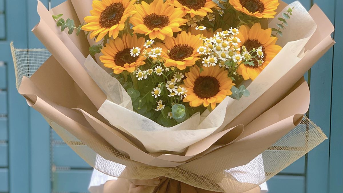 Hướng dương đại diện cho niềm tin và ánh sáng Hướng dương đại diện cho niềm tin và ánh sáng