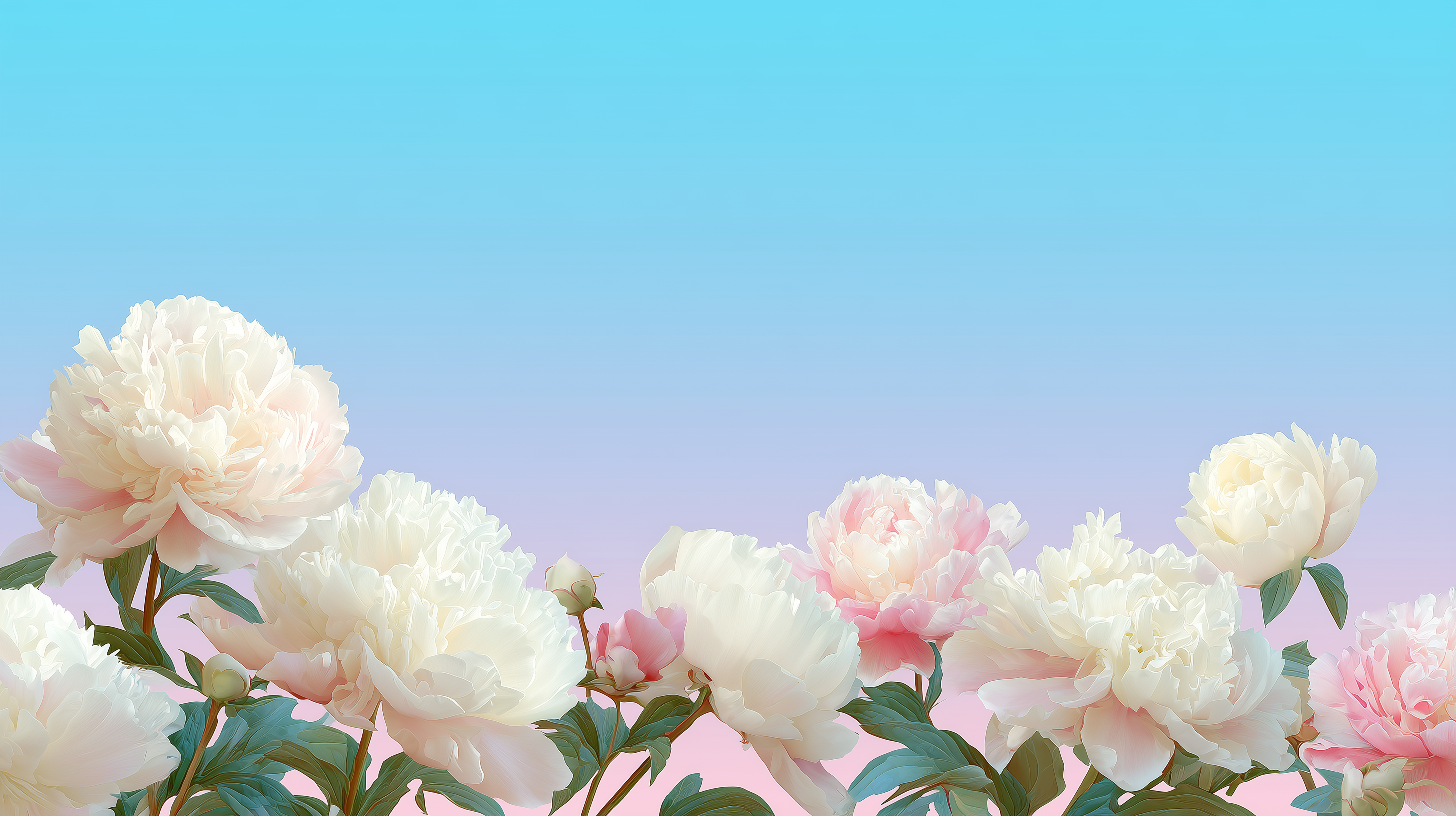 Hình nền hoa mẫu đơn Full HD, 4K sắc nét giúp màn hình máy tính sống động, mang lại cảm giác thư thái Hình nền hoa mẫu đơn Full HD, 4K sắc nét giúp màn hình máy tính sống động, mang lại cảm giác thư thái