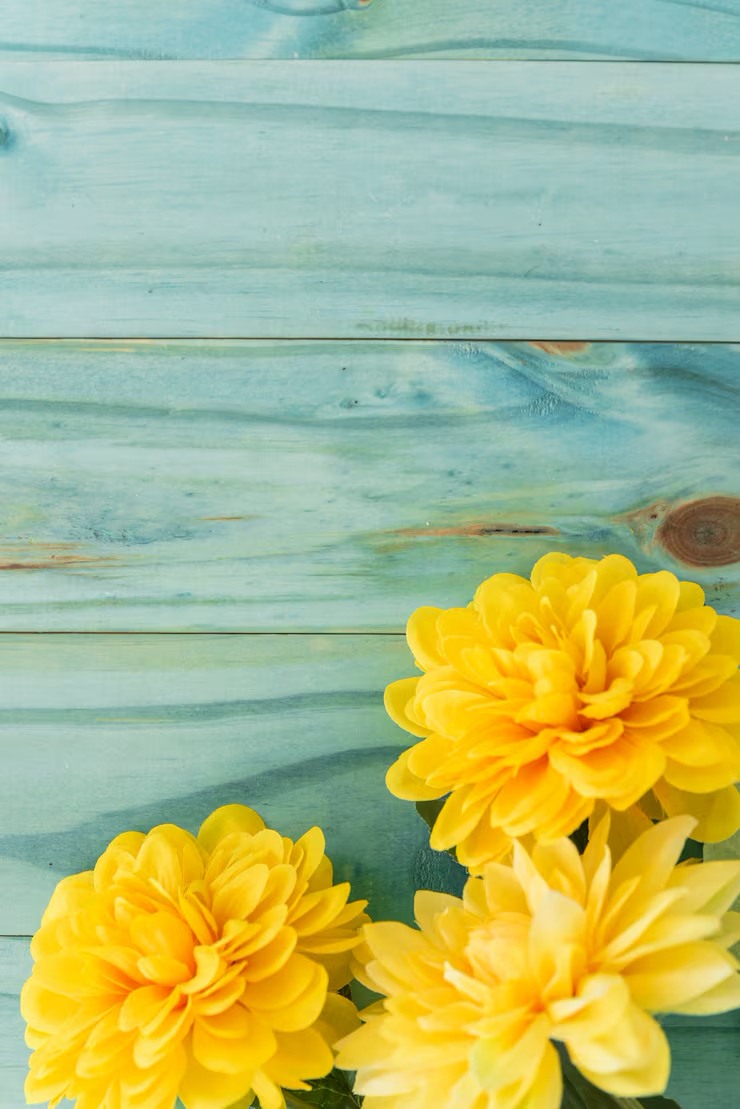 Hoa mẫu đơn vàng tượng trưng phú quý, giúp tăng vận khí tốt và tạo động lực phát triển sự nghiệp Hoa mẫu đơn vàng tượng trưng phú quý, giúp tăng vận khí tốt và tạo động lực phát triển sự nghiệp