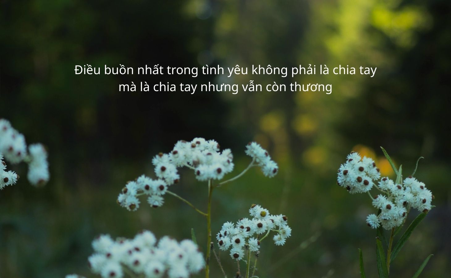 Stt buồn tâm trạng về tình yêu, hôn nhân và sự chia ly