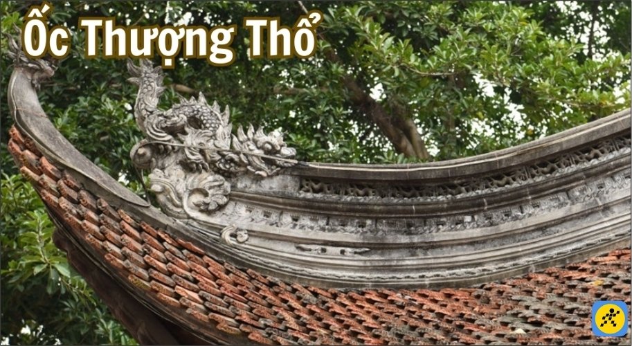 Người sinh năm Đinh Hợi 2007 thuộc mệnh Thổ - cụ thể là Ốc Thượng Thổ