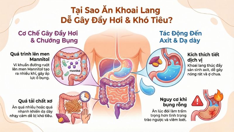 Người bị viêm loét dạ dày không nên ăn khoai lang khi đói để tránh kích ứng niêm mạc dạ dày