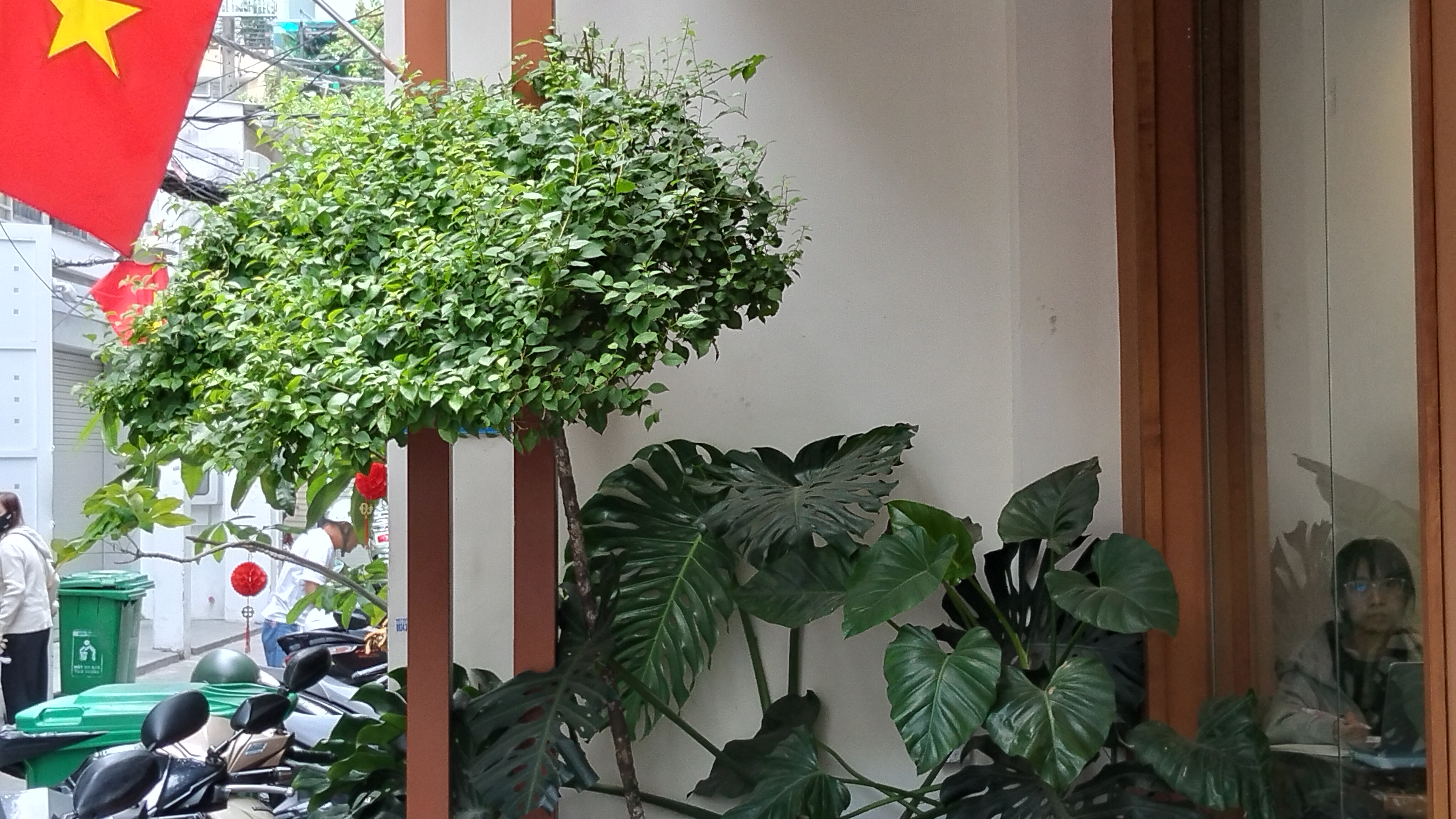 Trên tay OPPO A6: Thiết kế bền bỉ với IP69, viên pin lớn 7.000 mAh và sạc nhanh 45W