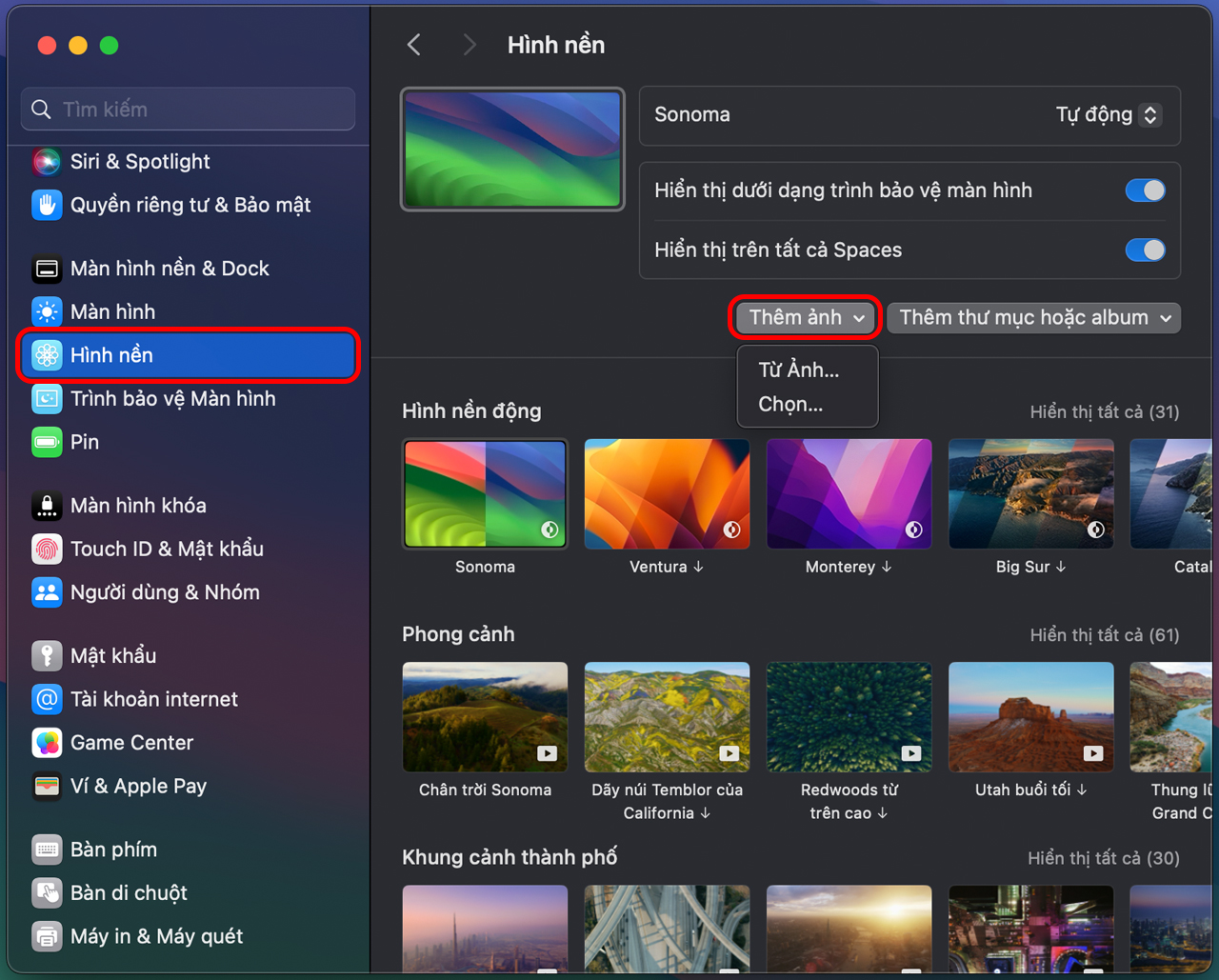 H&igrave;nh nền MacBook Neo