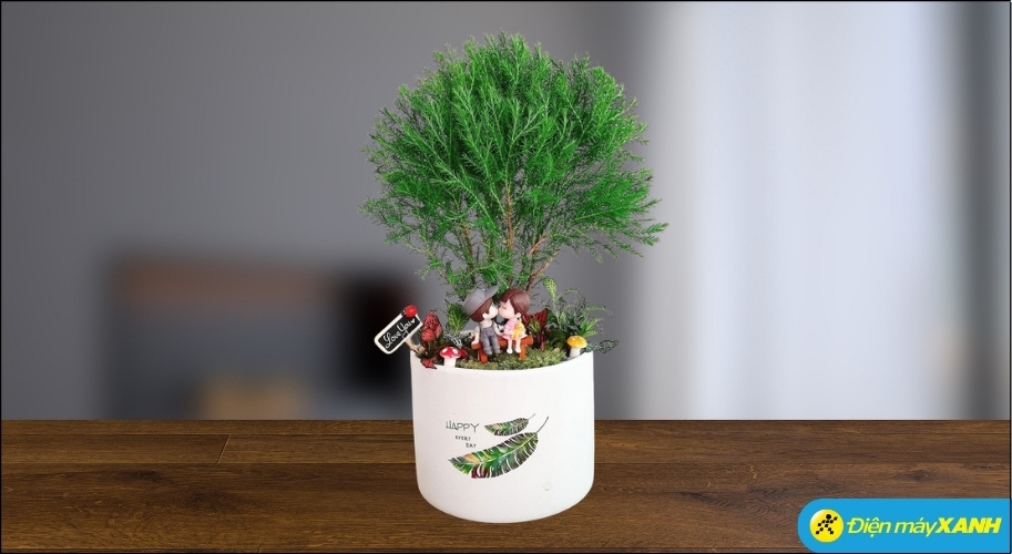 Tùng Bồng Lai có dáng vẻ cổ thụ thu nhỏ, tượng trưng cho sức sống bền bỉ và sự kiên định