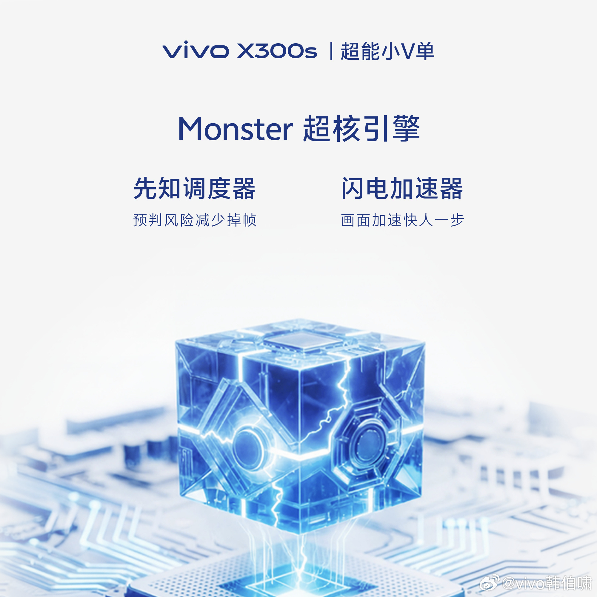 Vivo X300S