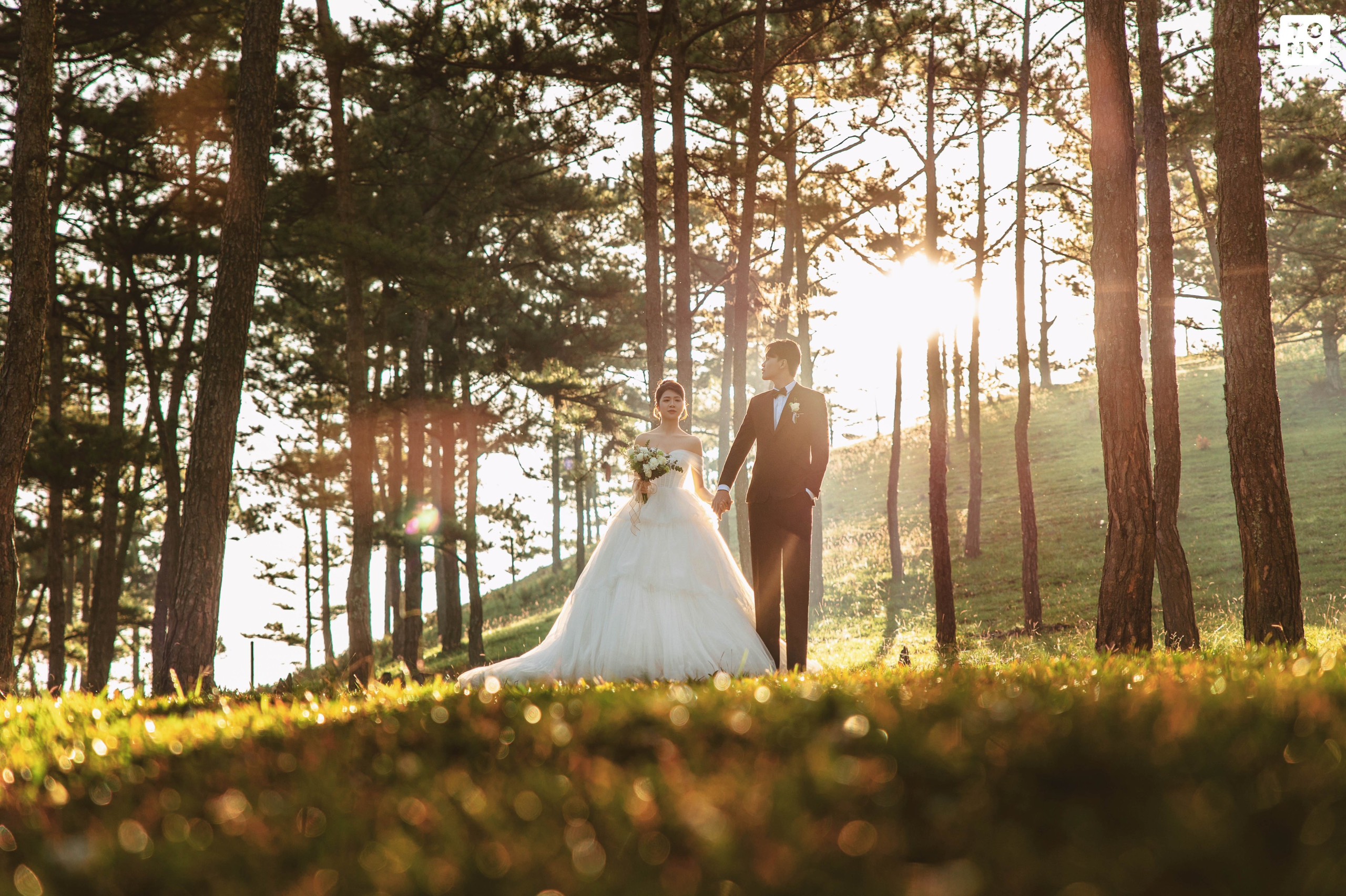 Đồi trọc (Đồi c&ocirc; d&acirc;u)