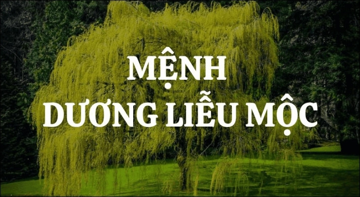 Người sinh năm 2003 thuộc mệnh Mộc, cụ thể nạp âm là Dương Liễu Mộc (nghĩa là Gỗ cây dương liễu)