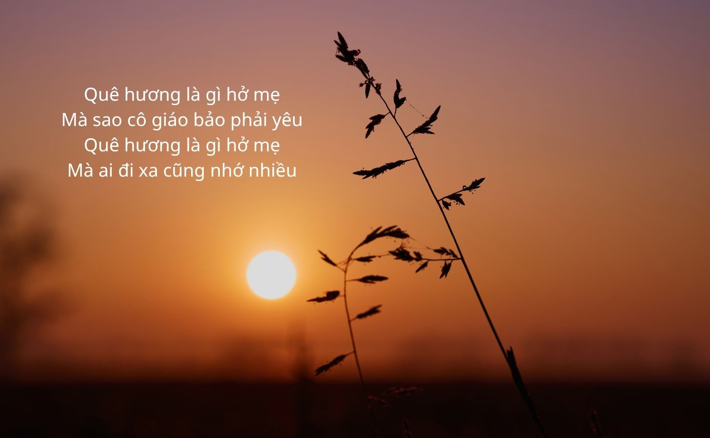 Những câu nói hay về quê hương đất nước