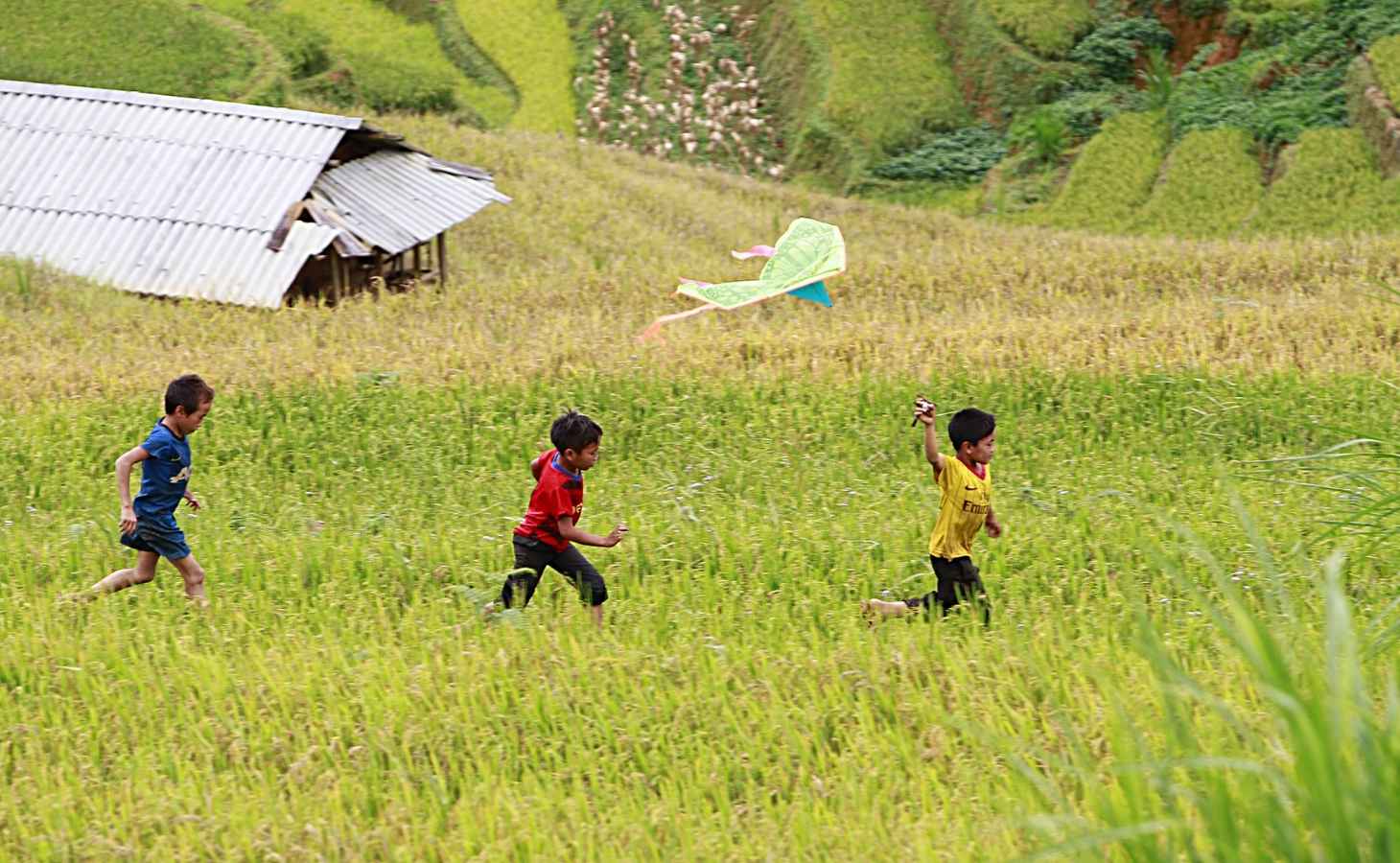 Những câu nói hay về quê hương và nỗi nhớ