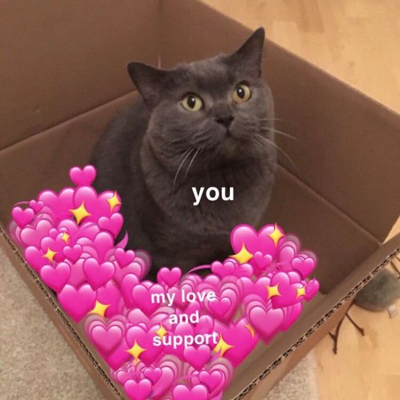 Bộ meme mèo cute dành cho cặp đôi, giúp bạn thả thính, bày tỏ cảm xúc một cách dễ thương