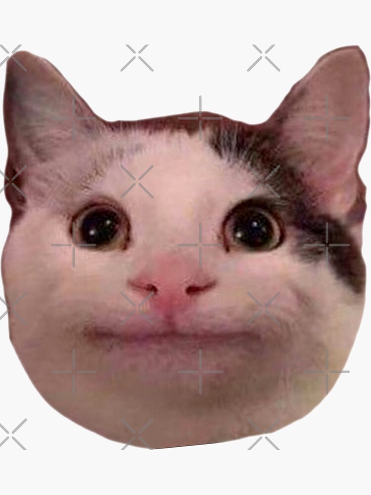 Tổng hợp meme mèo biểu cảm ngơ ngác, vô tri cực hài, phù hợp để phản ứng mọi tình huống khó đỡ