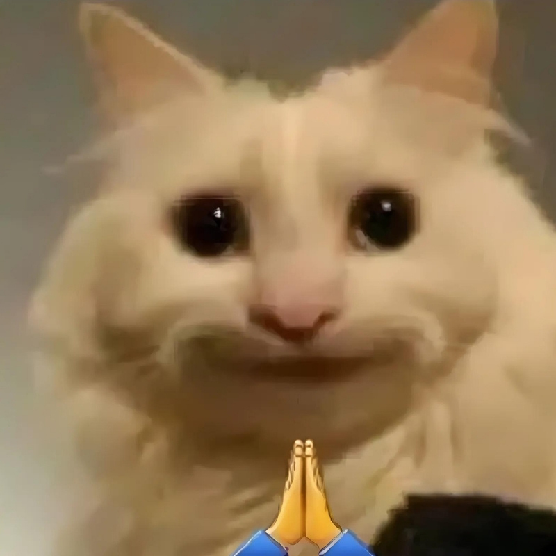 Tuyển chọn meme mèo cười nhe răng cực vui, thích hợp dùng khi gặp chuyện hài hước, giải trí