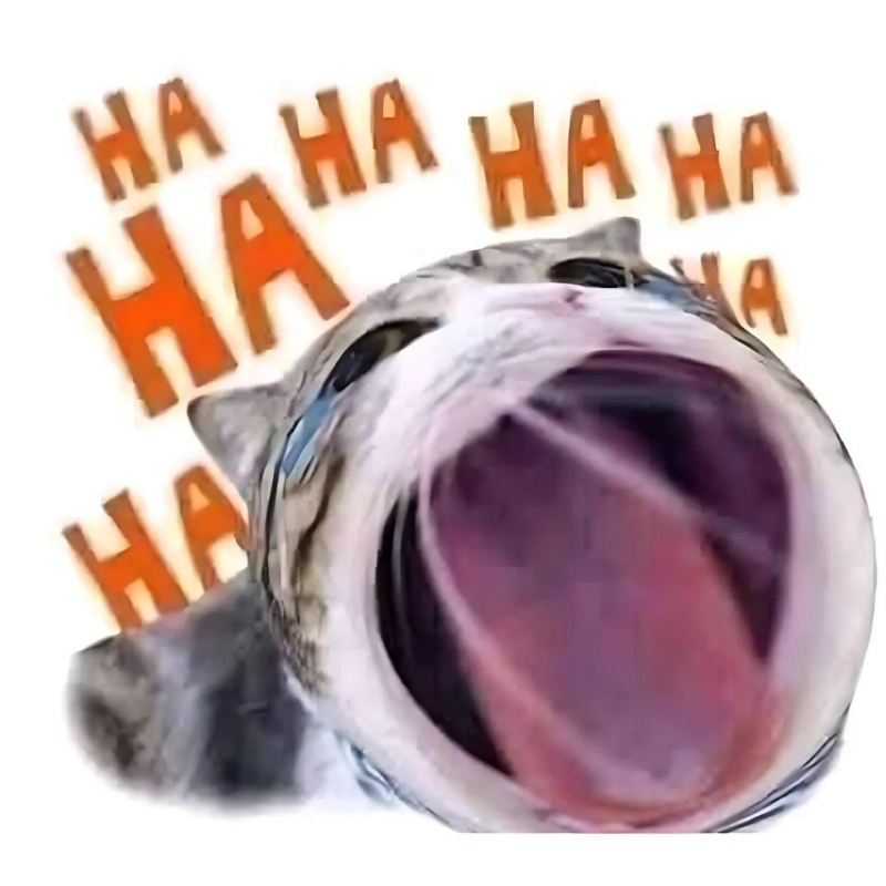 Tổng hợp meme mèo biểu cảm ngơ ngác, vô tri cực hài, phù hợp để phản ứng mọi tình huống khó đỡ