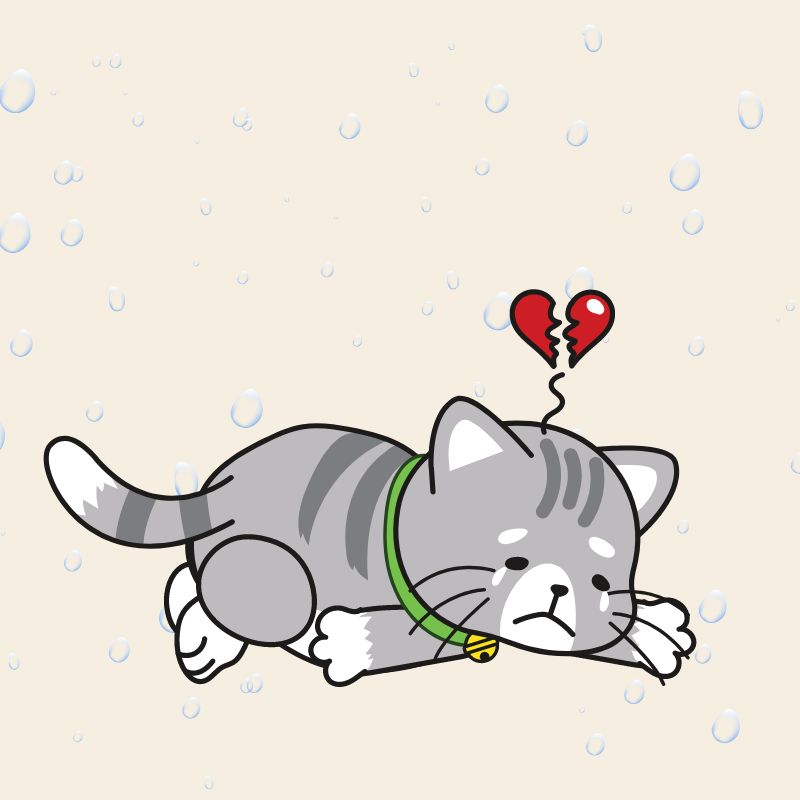 Meme mèo dỗi hờn, lè lưỡi đáng yêu, thích hợp gửi khi muốn nũng nịu hoặc làm hòa với người yêu