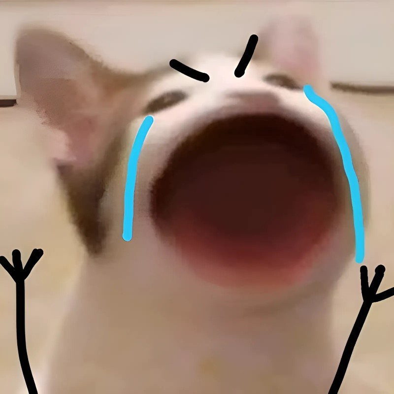 Loạt meme mèo khóc thét, gào khóc cực suy, diễn tả cảm xúc bất lực và tuyệt vọng hài hước