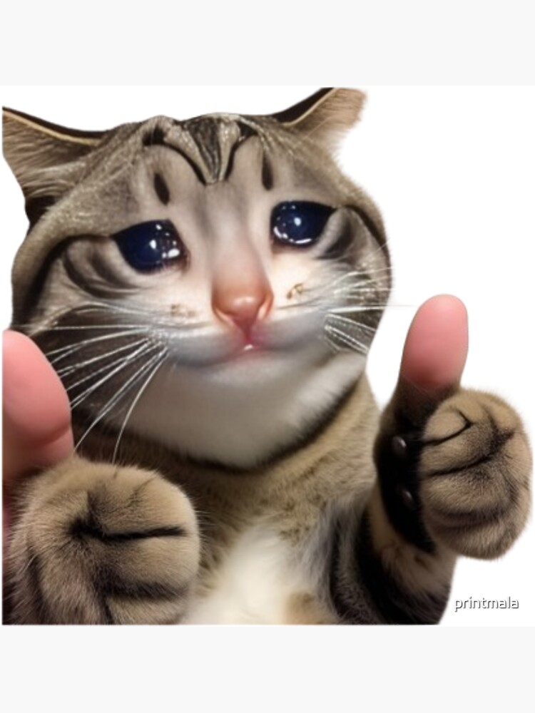 Meme mèo khóc dễ thương, pha chút cam chịu hài hước, dùng khi muốn than nhẹ đầy dí dỏm