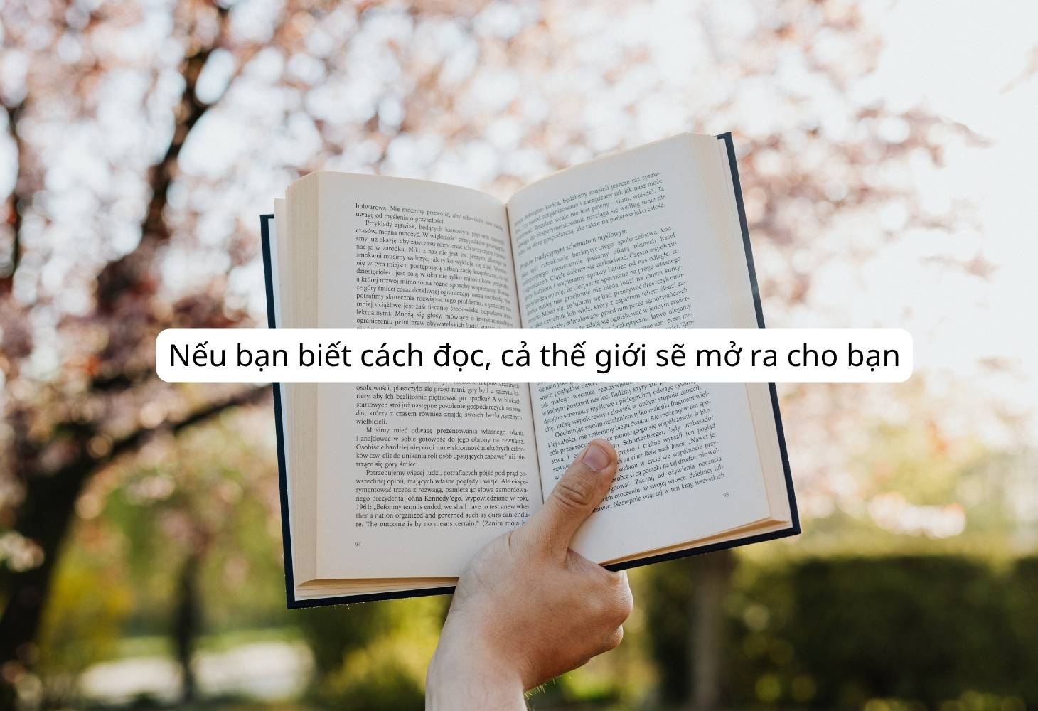 Những câu nói hay về sách ý nghĩa nhất Những câu nói hay về sách ý nghĩa nhất