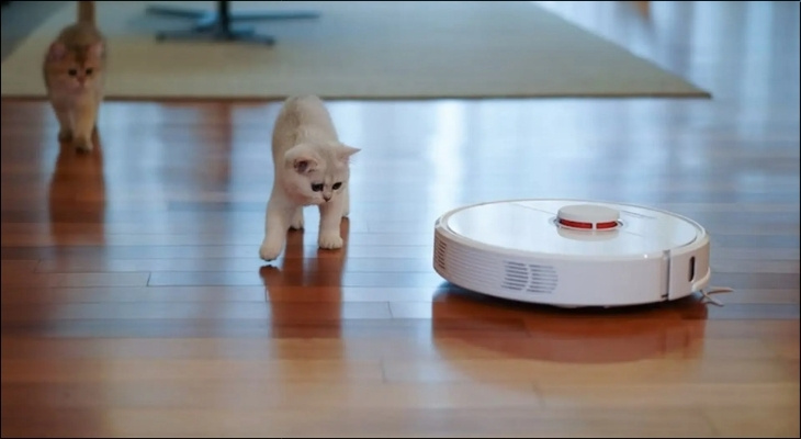 Chổi TriCut phù hợp với những người nuôi thú cưng như chó, mèo, phải đối mặt với lượng lông rụng lớn mỗi ngày