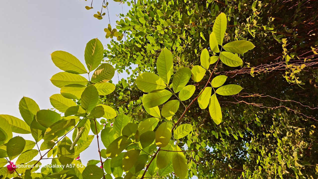 Trải nghiệm nhanh Samsung Galaxy A57 5G và Galaxy A37 5G: Hợp vibe từ ánh nhìn đầu tiên Trải nghiệm nhanh Samsung Galaxy A57 5G và Galaxy A37 5G: Hợp vibe từ ánh nhìn đầu tiên