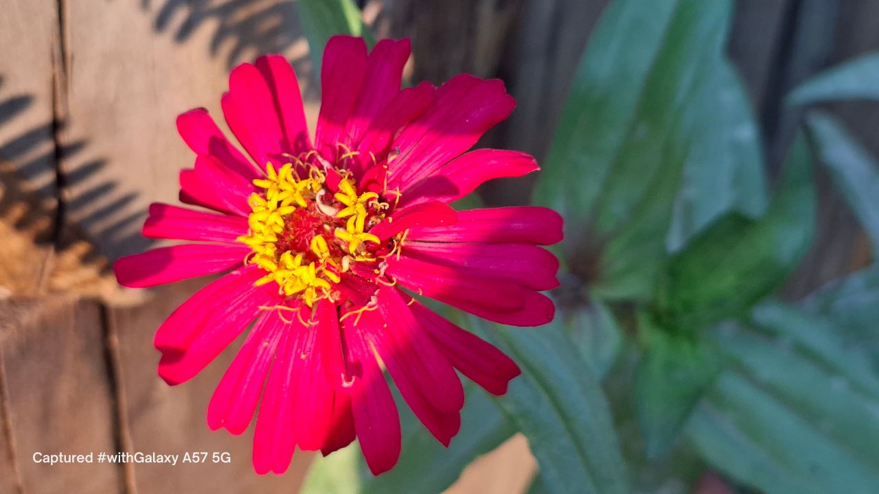 Trên tay Samsung Galaxy A57: Thiết kế cao cấp, màn hình 1.900 nits, chip Exynos 1680