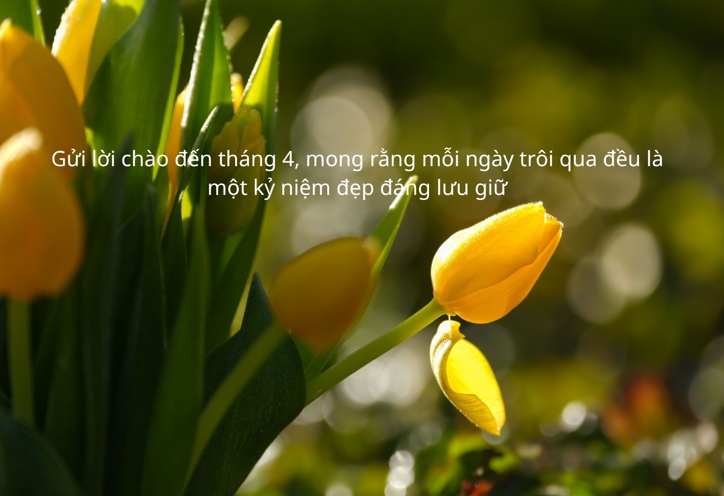 Chào tháng 4 đầy hy vọng