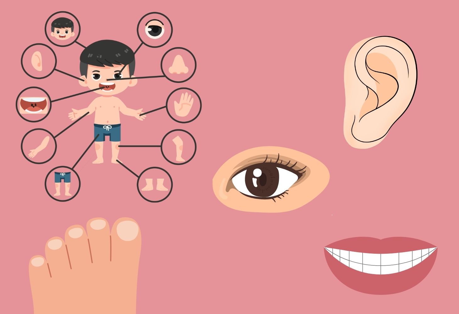 Câu đố dân gian về con người và bộ phận cơ thể