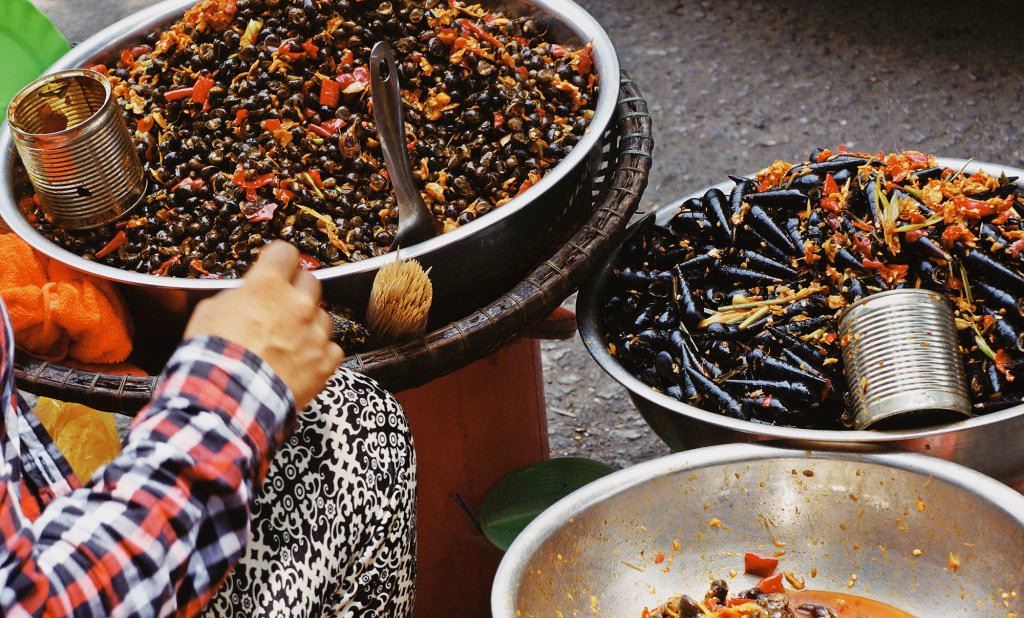 Ốc h&uacute;t Huế