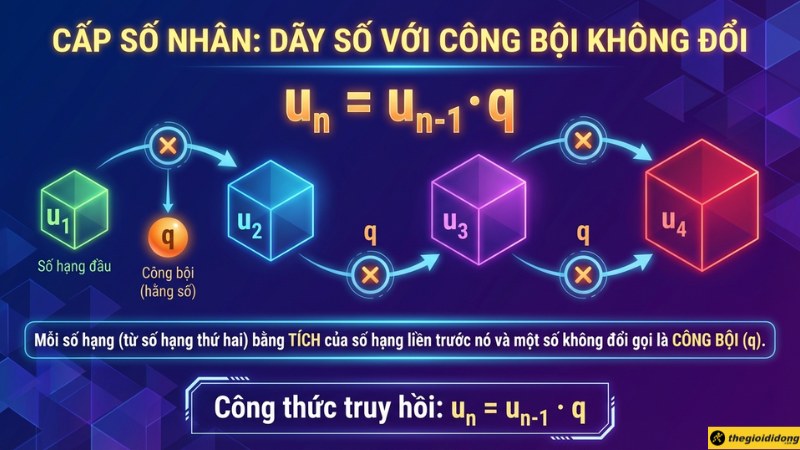 Cấp số nh&acirc;n (Geometric Progression)