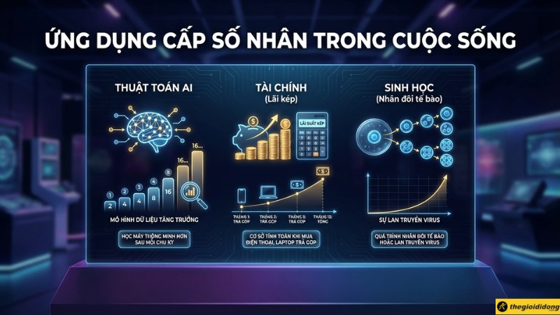 Ứng dụng thực tế của cấp số nh&acirc;n