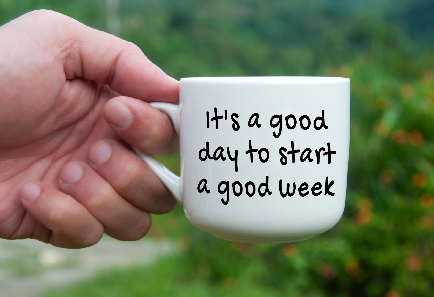 Lời chúc đầu tuần vui vẻ, hài hước Lời chúc đầu tuần vui vẻ, hài hước