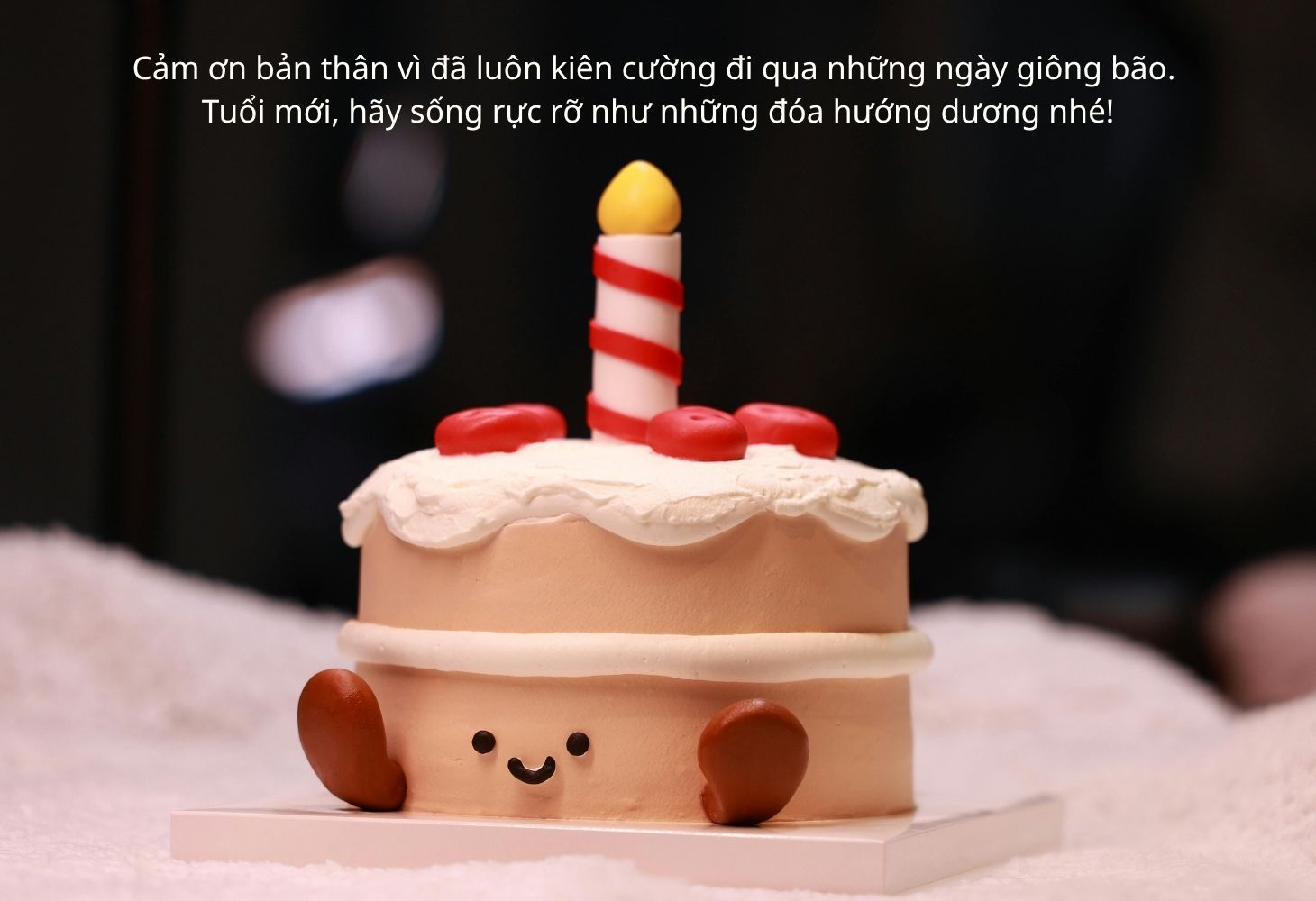 Stt chúc sinh nhật bản thân sâu sắc