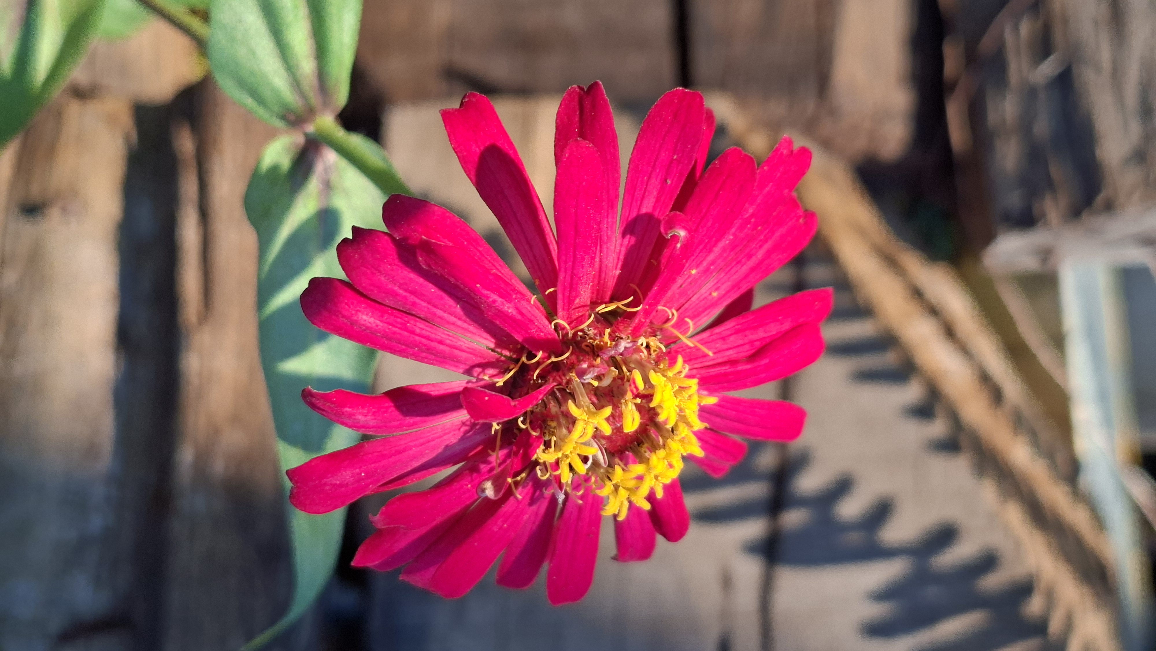 Đánh giá Samsung Galaxy A57