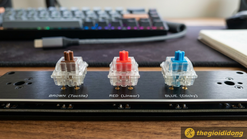Các loại switch cơ bản Các loại switch cơ bản