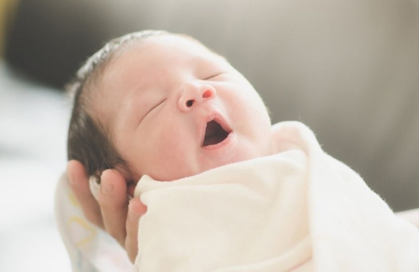 Nên chọn điều hòa hay quạt?