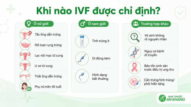 Những trường hợp được chỉ định làm IVF Những trường hợp được chỉ định làm IVF